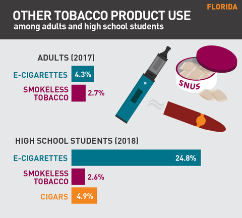 Other tobacco product use in Florida graphic