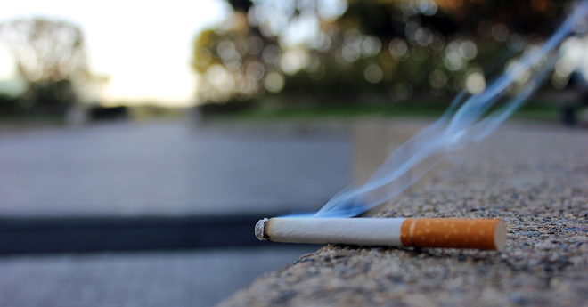 cigarette state fact sheets